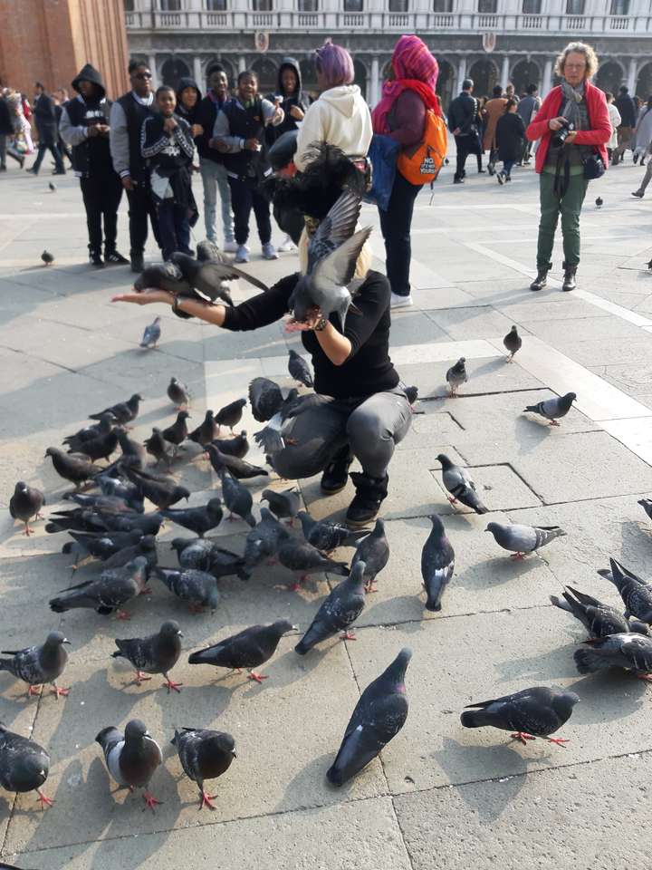 Венециански гълъби онлайн пъзел