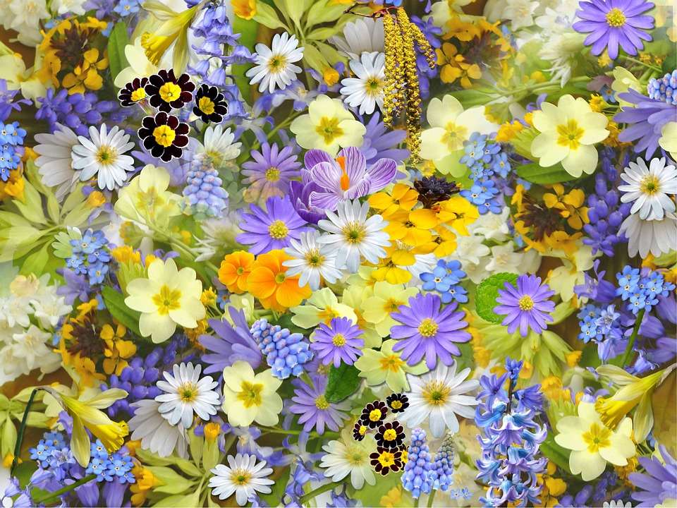 Όμορφα ανοιξιάτικα λουλούδια παζλ online