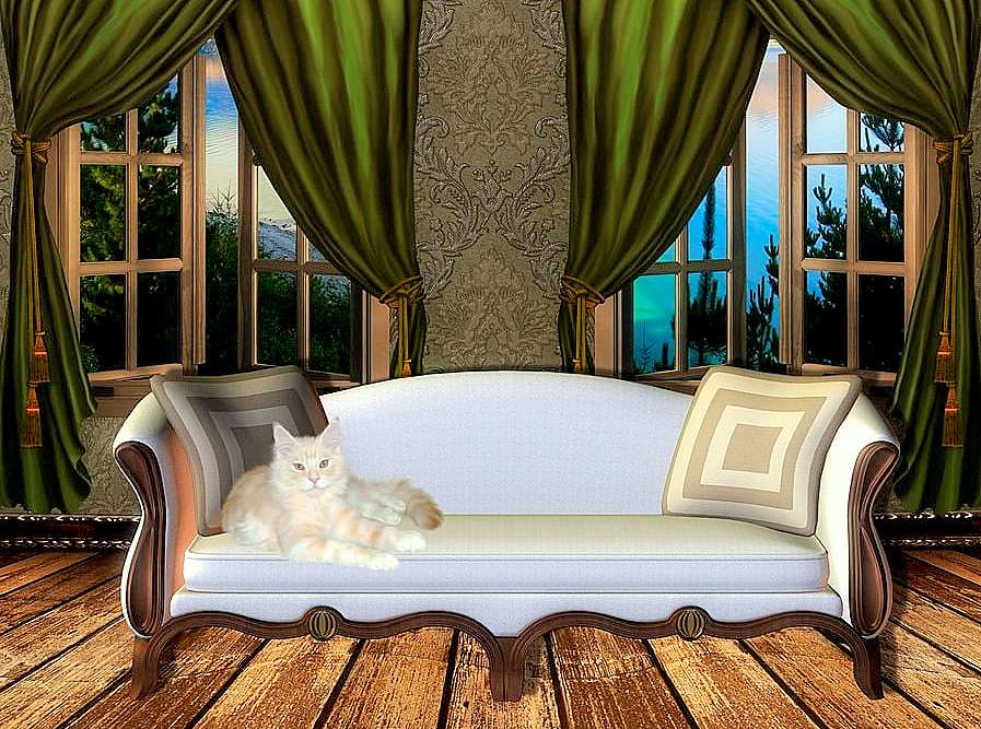 Κύριε Γάτα, ή όνειρο για μια καλύτερη ζωή online παζλ