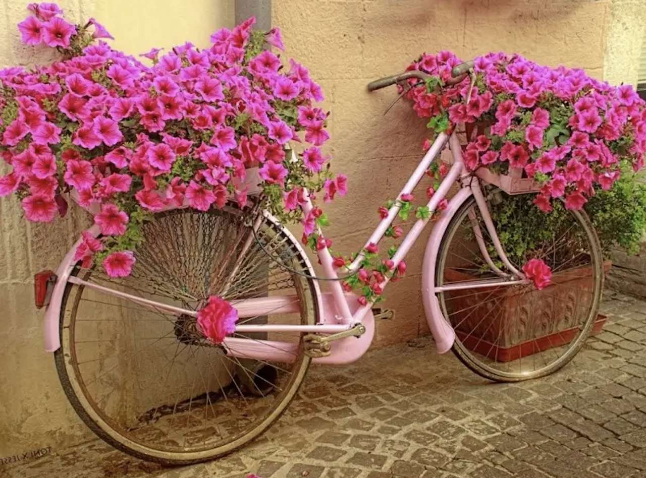 Όμορφη έμπνευση, ροζ ποδηλάτης και ροζ σέρφιν παζλ online