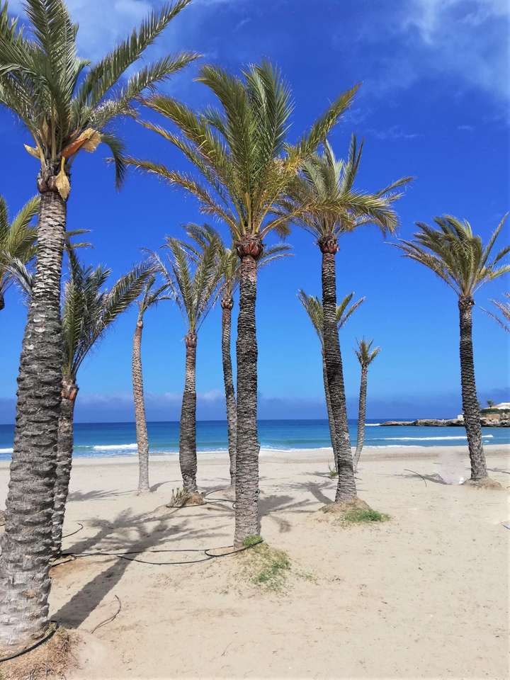 PLAGE DE JAVEA puzzle en ligne