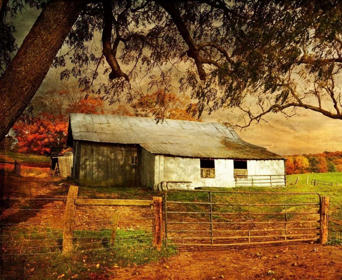 Vecchia fattoria recintata in autunno puzzle online