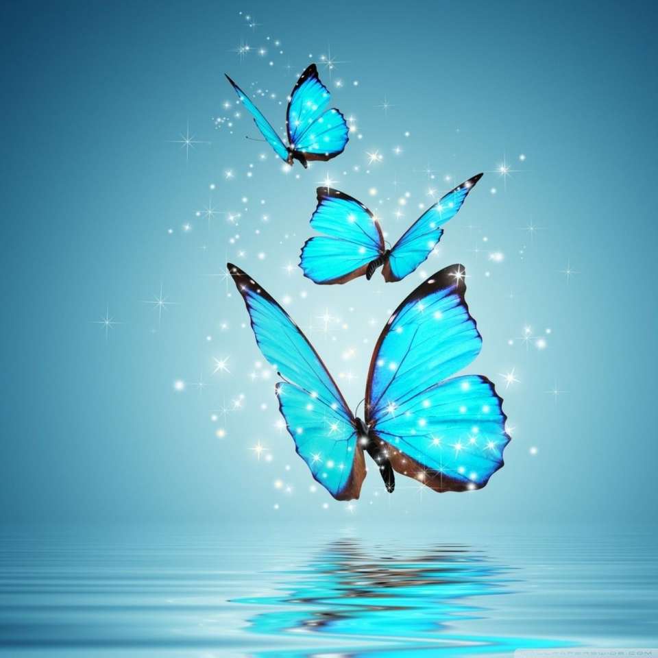 Papillon puzzle en ligne