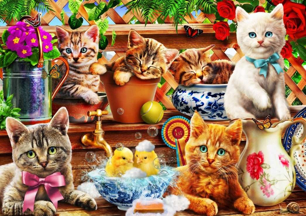 Pisici pe raft puzzle online
