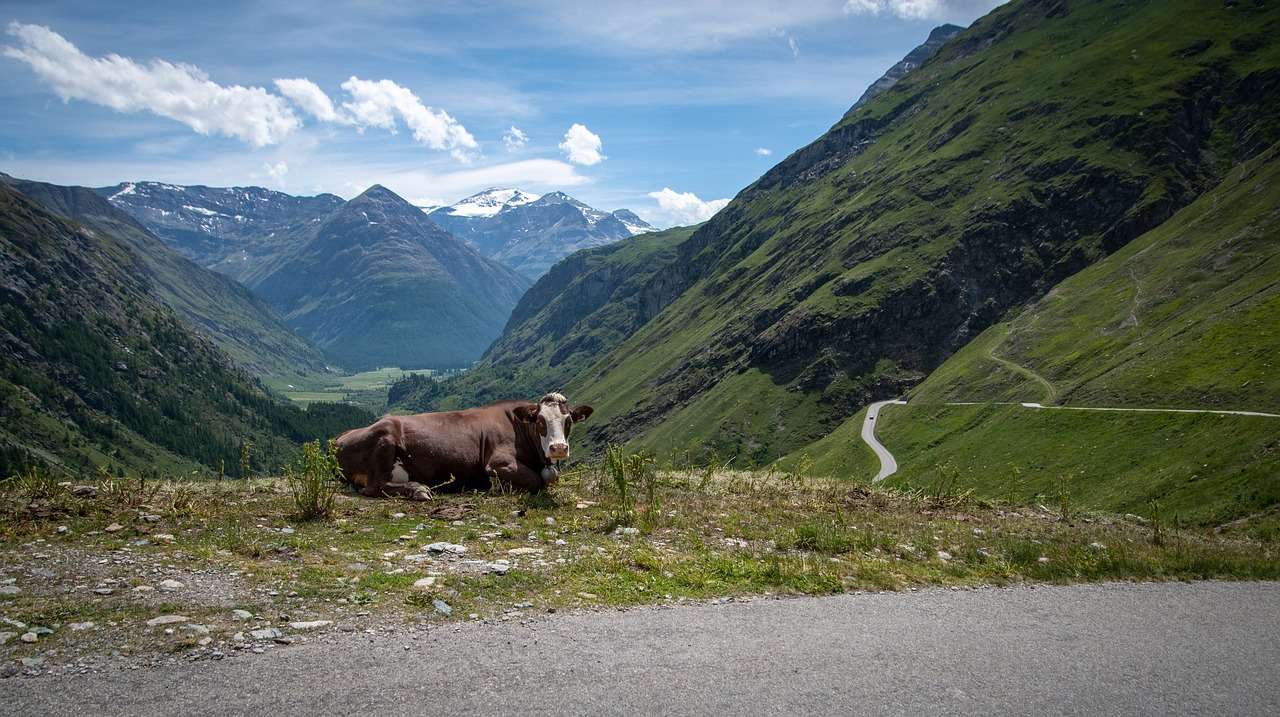 Francia Alpok kirakós online