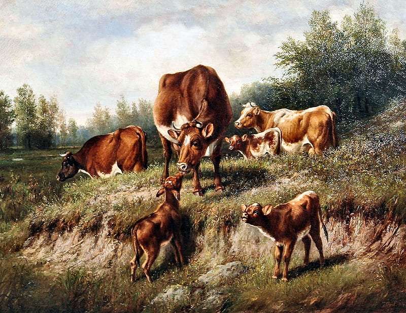 Fudge and calves on grazing :) online puzzle