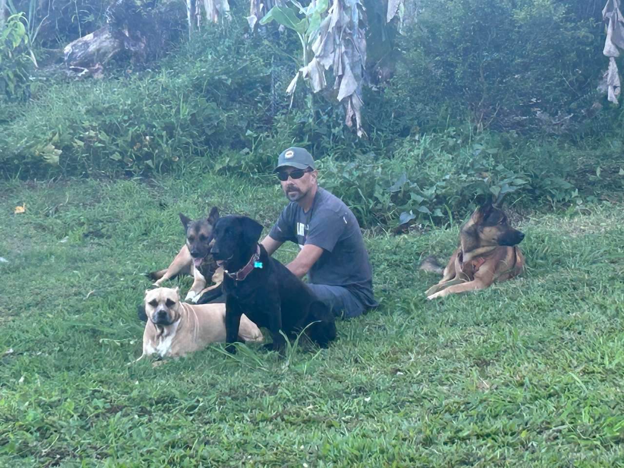 Joe med sina hundar på gården Pussel online