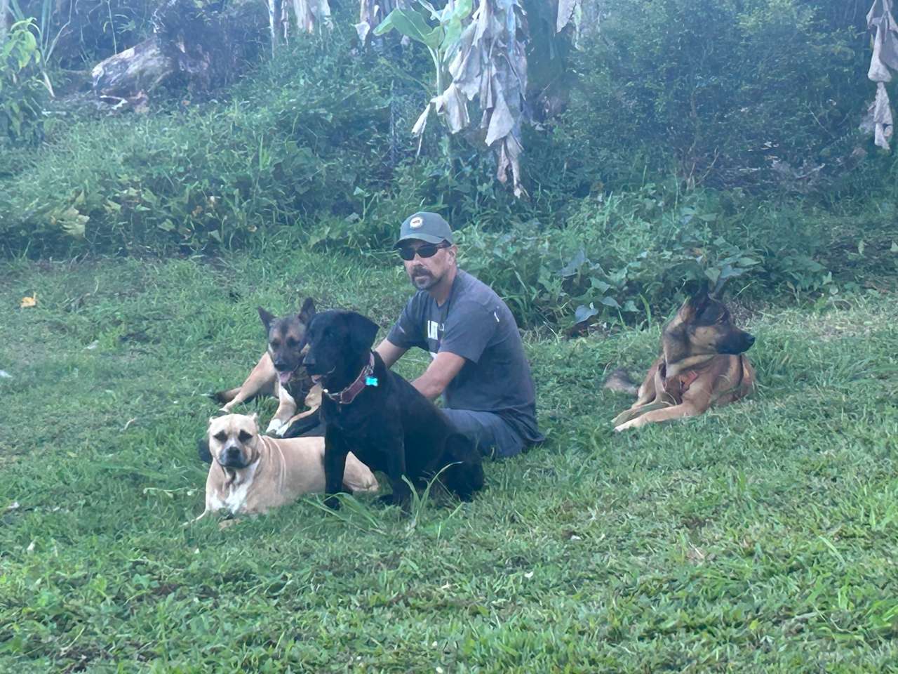 Joe con sus perros en la granja rompecabezas en línea