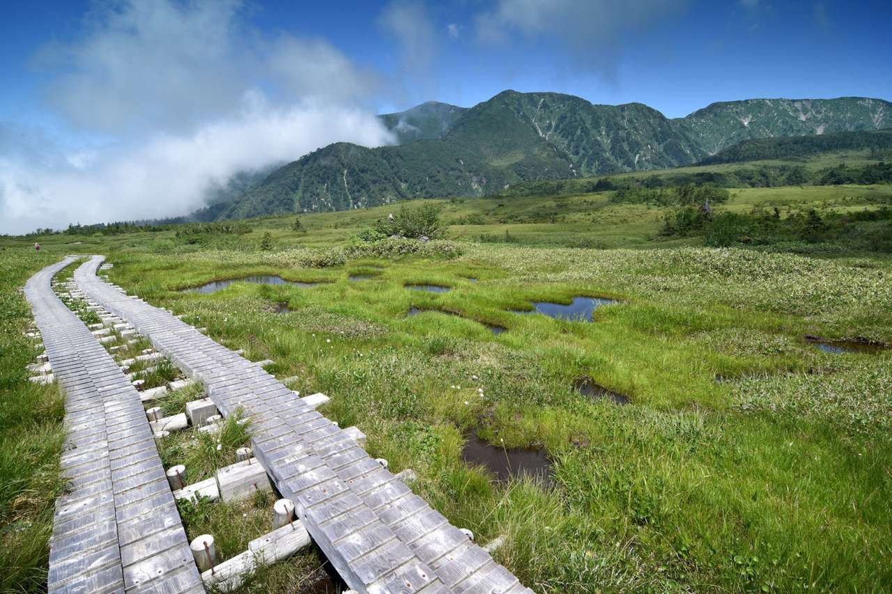 болото в Японии пазл онлайн