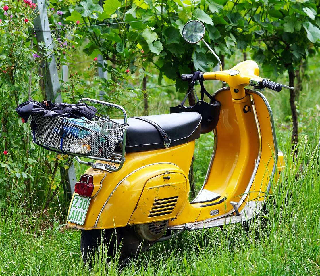 Скутер виноградник пазл онлайн