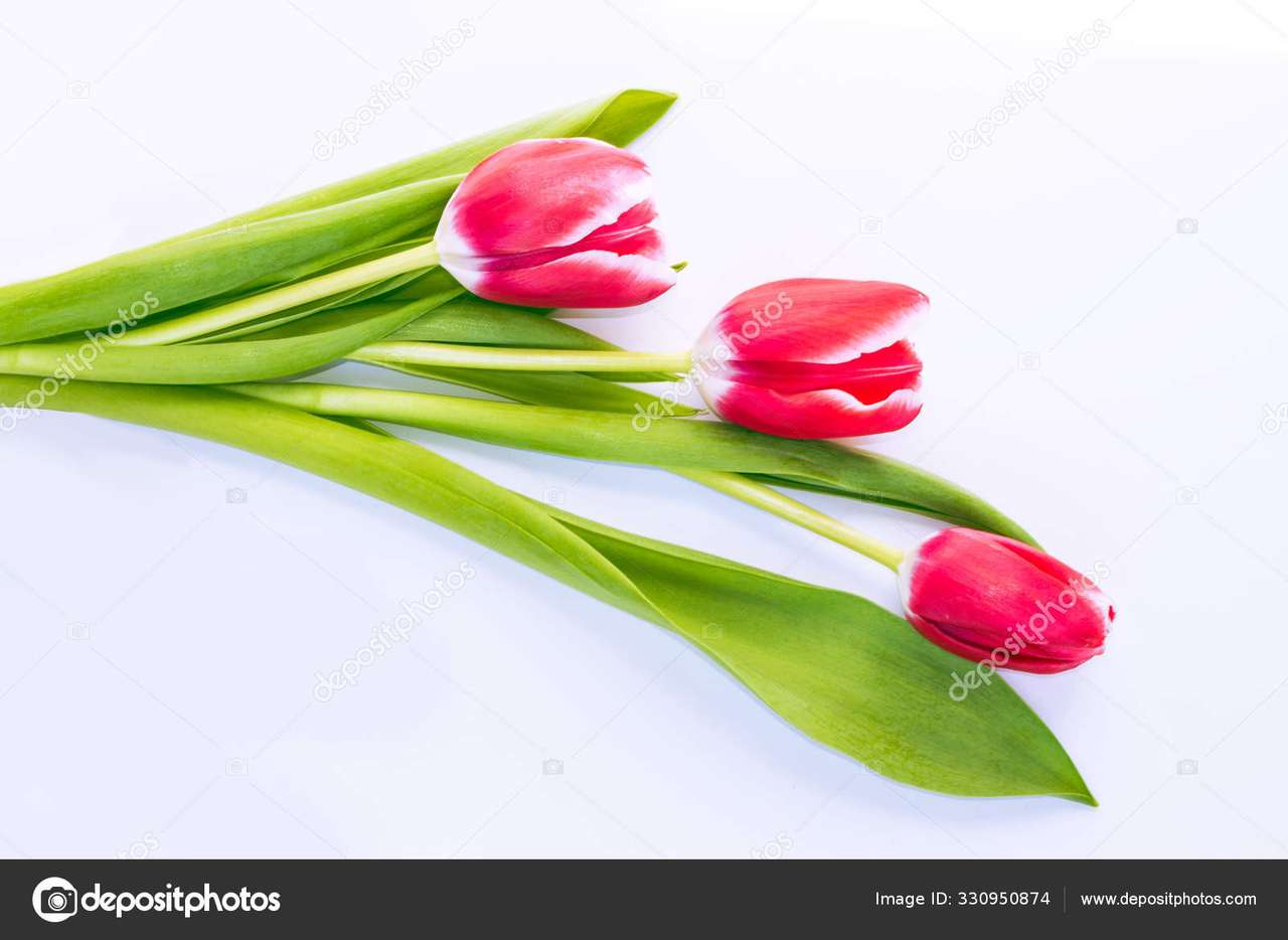 tulipas quebra-cabeças online