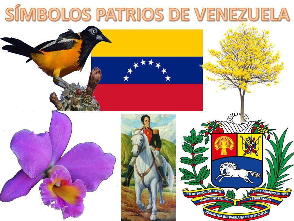 Símbolos Patrios de venezuela rompecabezas en línea