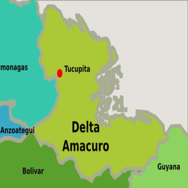 Harta statului Delta Amacuro puzzle online