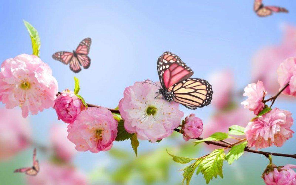 mariposas puzzle en ligne