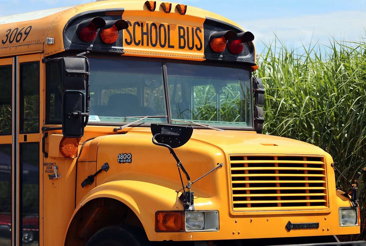 Училищен автобус онлайн пъзел