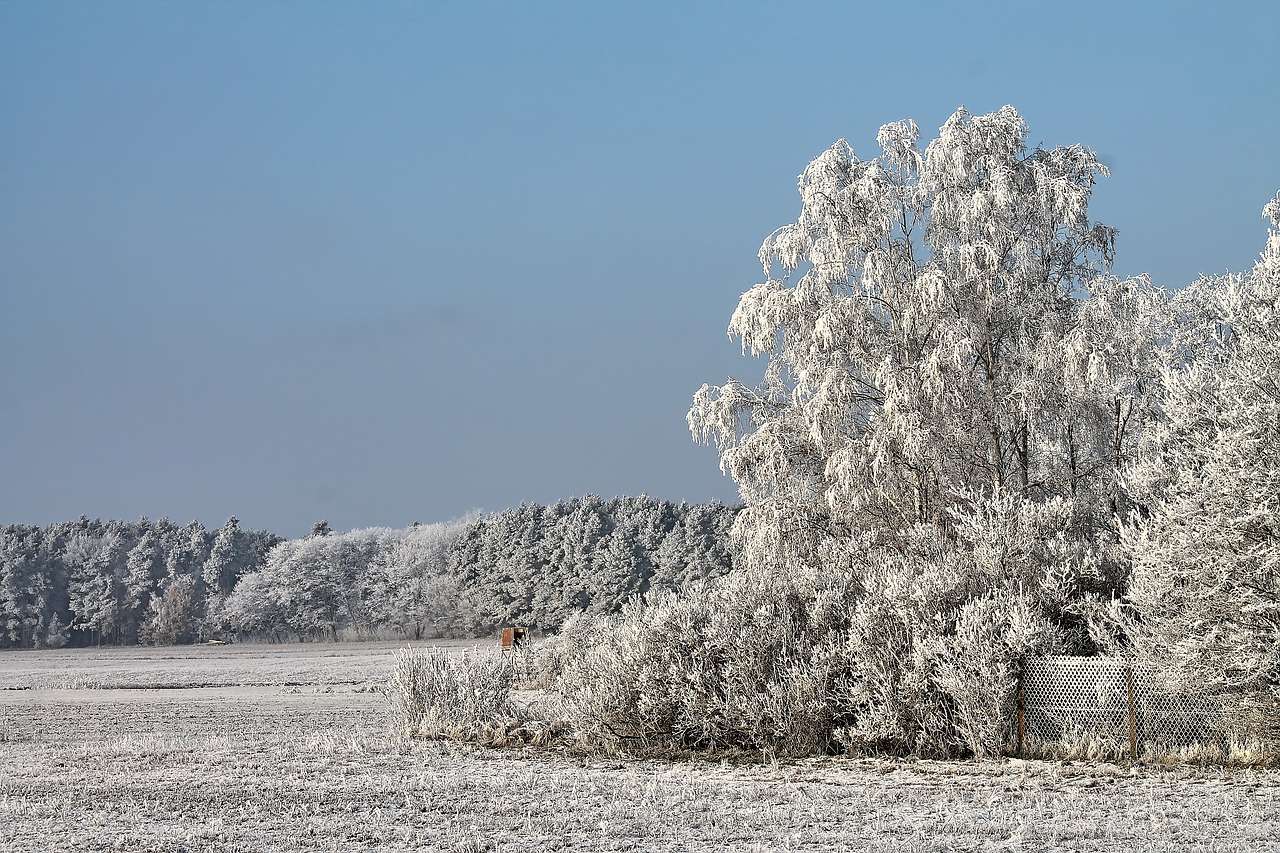 paesaggio invernale puzzle online