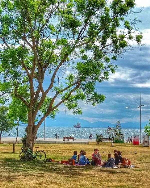 Picnic rompecabezas en línea