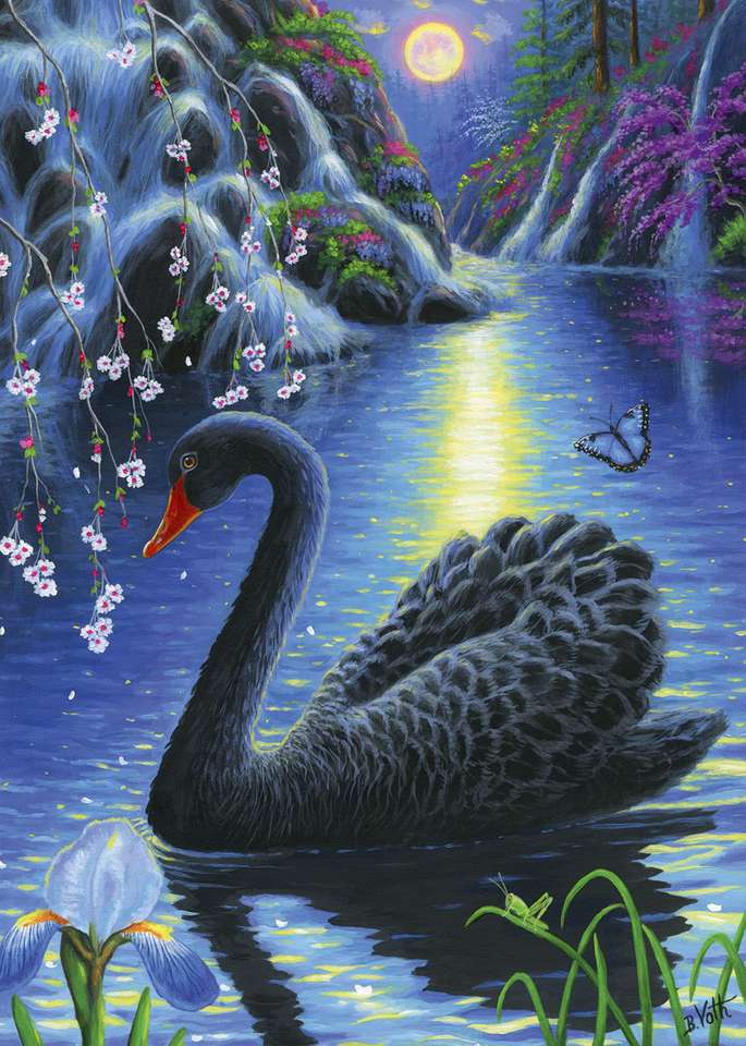 black swan in the moonlight jigsaw puzzle online