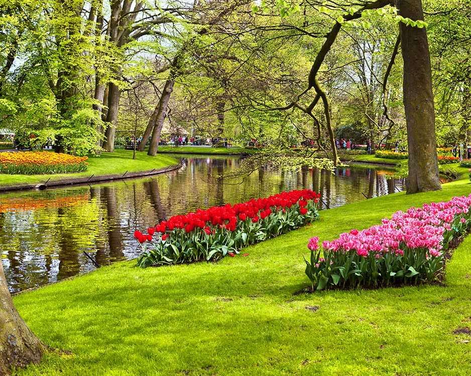 Camas de tulipanes en el parque rompecabezas en línea