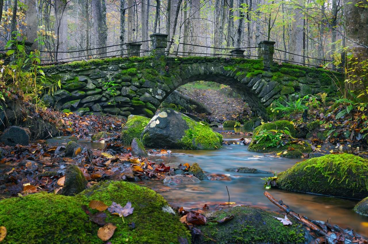 Podul Forest River puzzle online