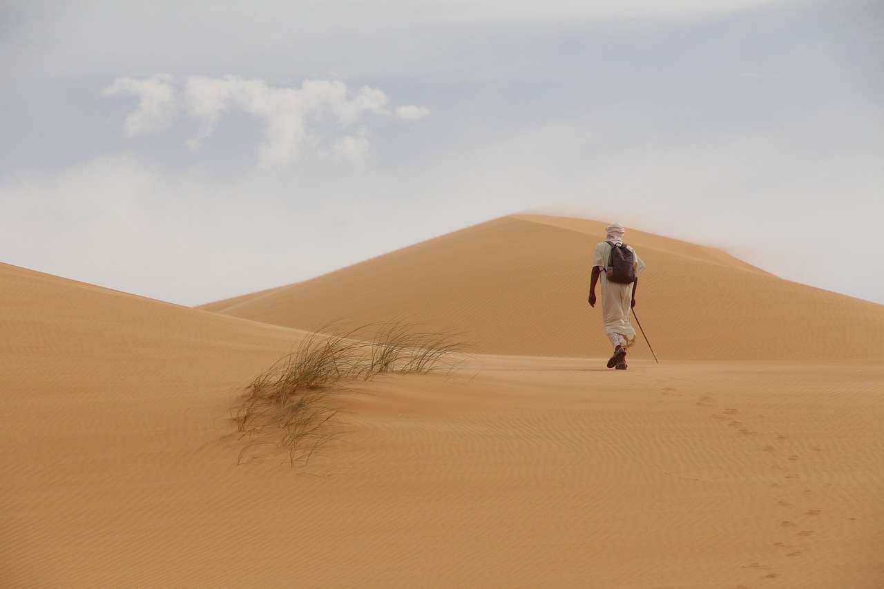 Woestijn Reiziger legpuzzel online