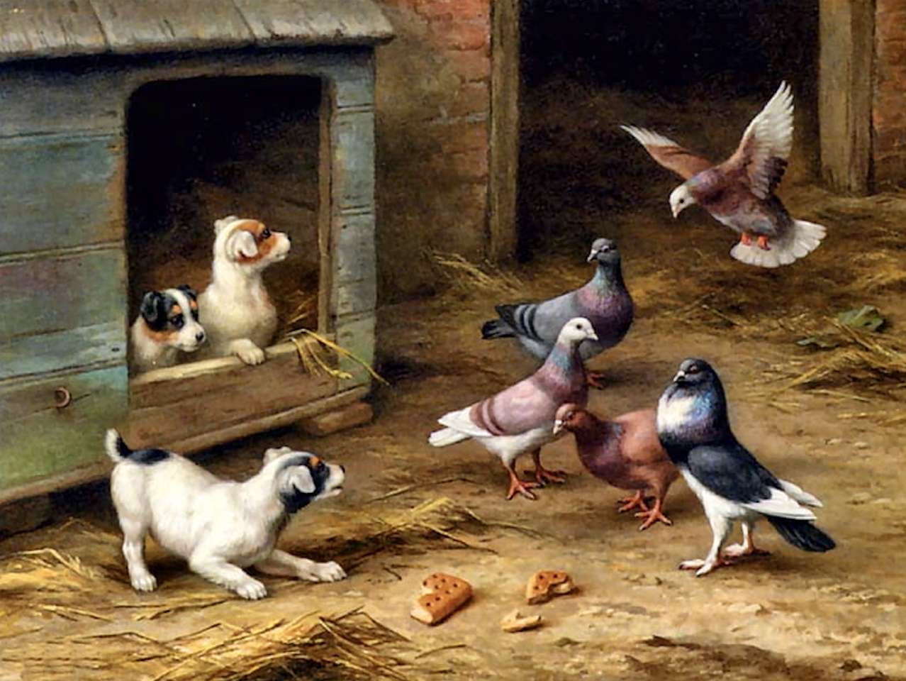 Кученца срещу гълъби - случва се здравей здравей онлайн пъзел