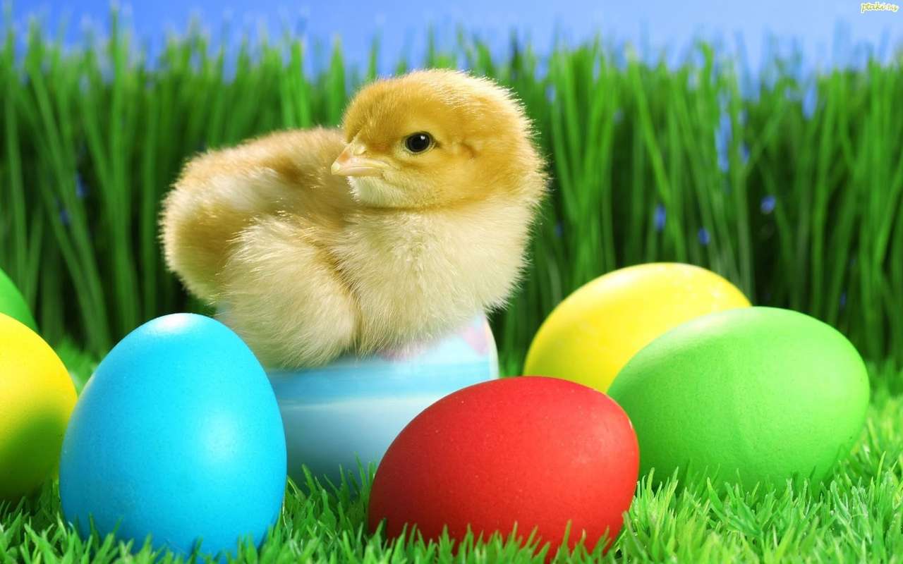 Easter chick online puzzle