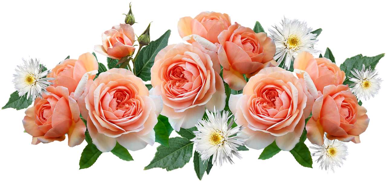 Blommor rosor pussel på nätet