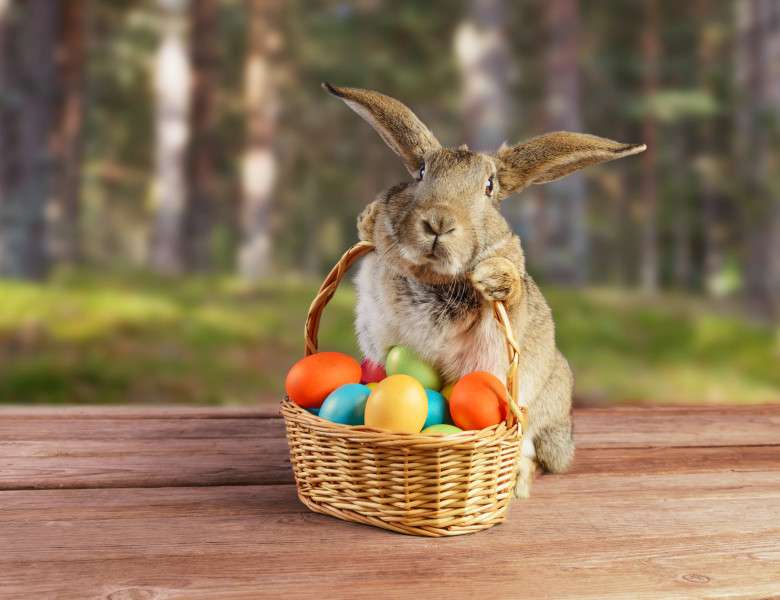Easter hare online puzzle