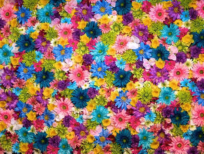 Blommor, det är omöjligt att inte beundra dem :) pussel på nätet
