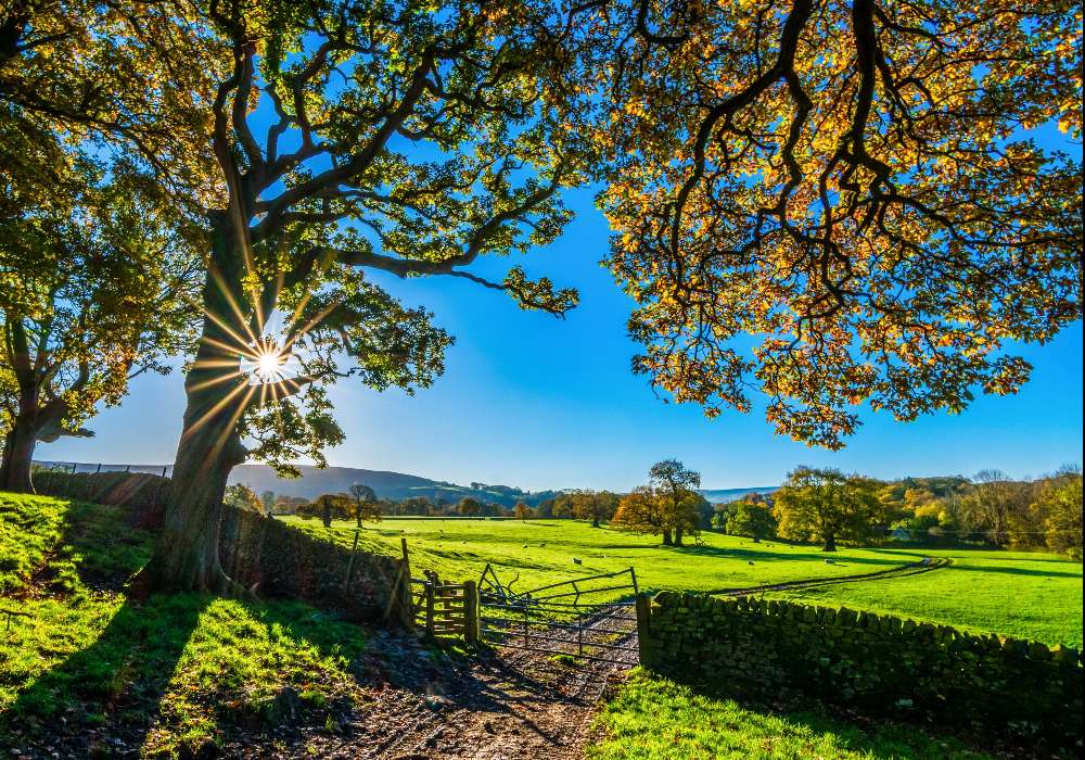 Nature anglaise rurale au lever du soleil puzzle en ligne