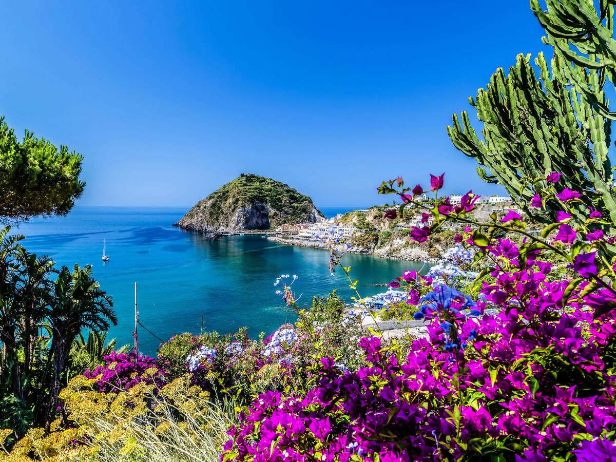 Υπέροχη θέα σε έναν ιταλικό κόλπο και βουκαμβίλιες, κάκτους παζλ online
