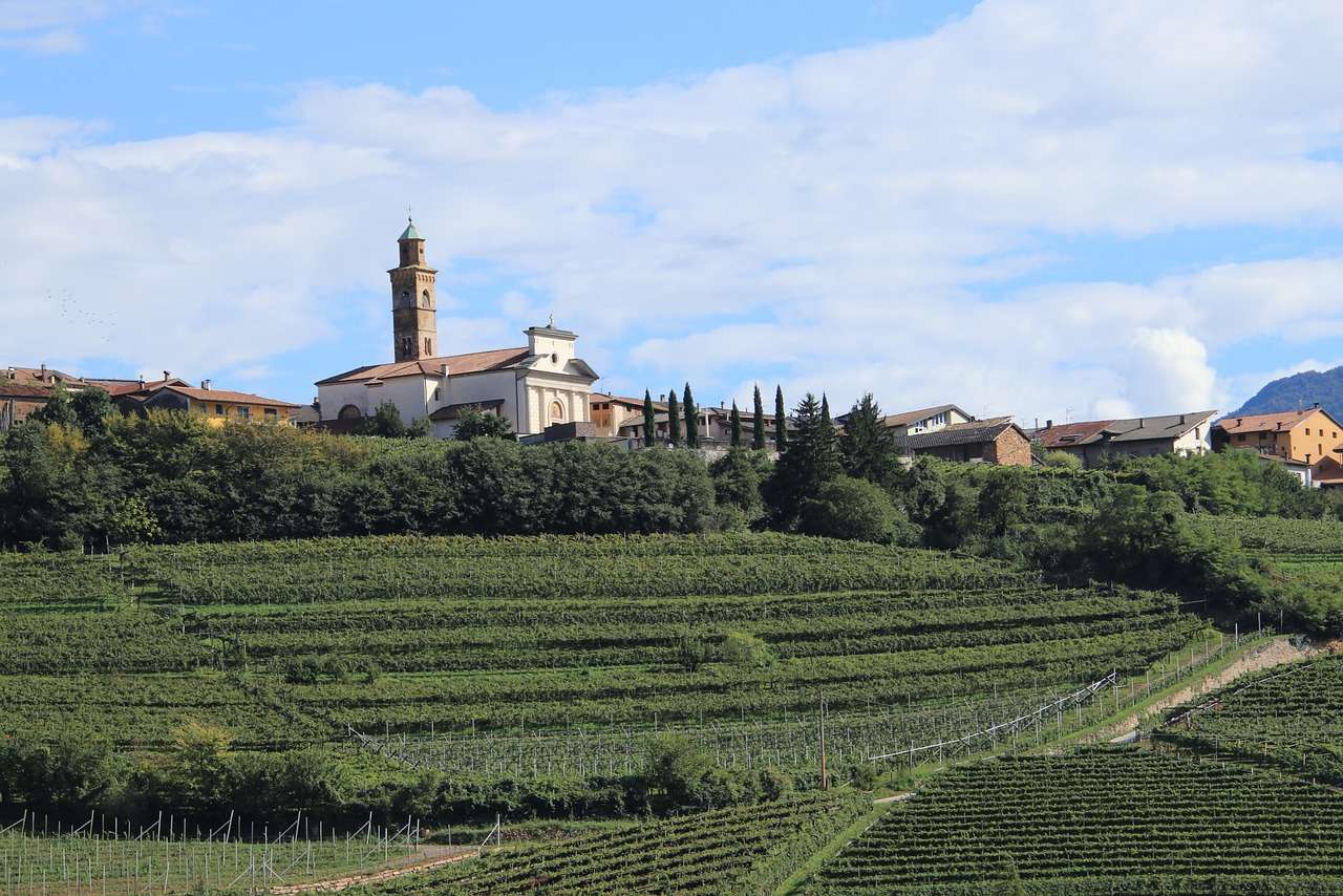Village Italien Vines Pussel online