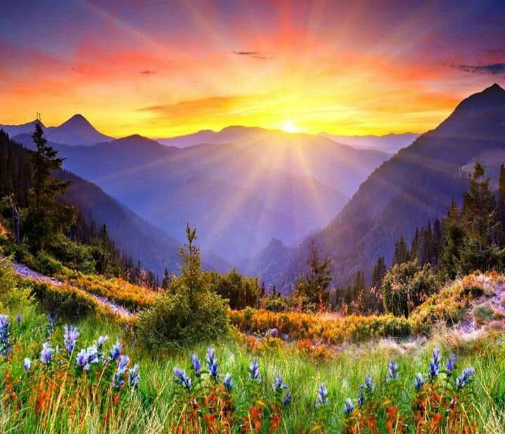 Montanhas e nascer do sol no verão puzzle online