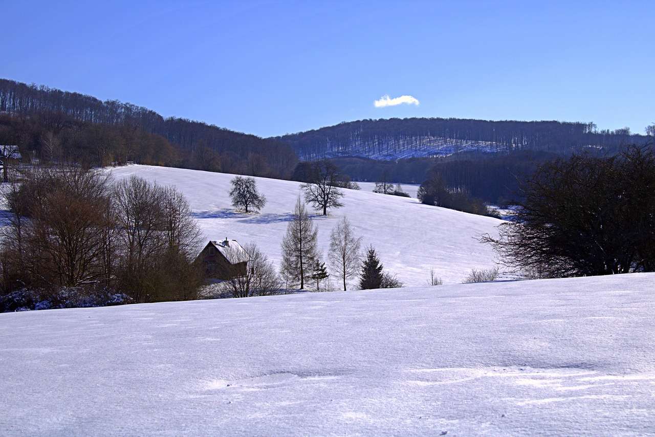 Inverno Neve Natureza quebra-cabeças online