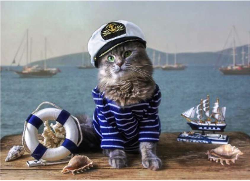 Pisica marinarului jigsaw puzzle online