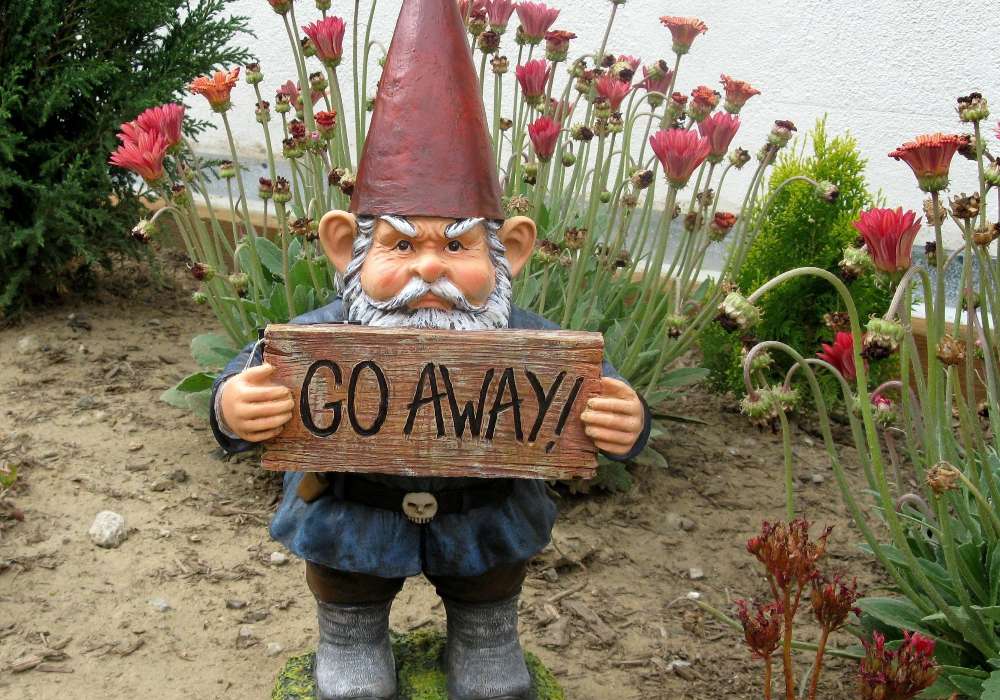 Zahradní trpaslík, cool, nezdvořilý :) skládačky online