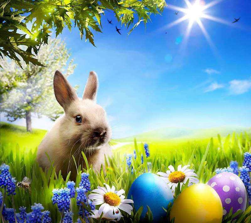Des lapins dans le pré cachent des œufs en chocolat :) puzzle en ligne