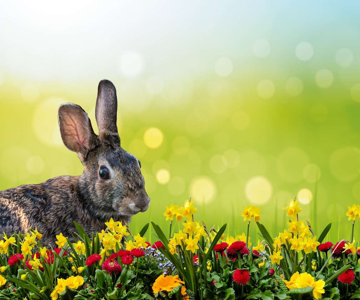 Coniglietto in fiori puzzle online