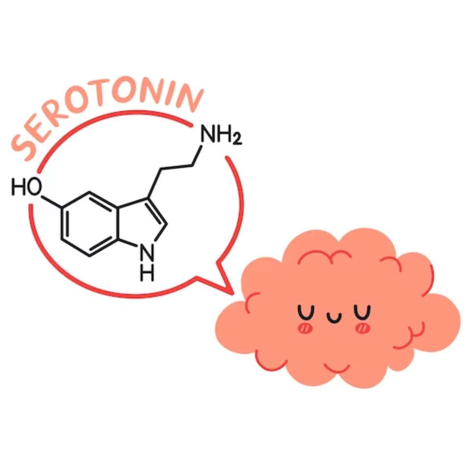 serotonin Pussel online