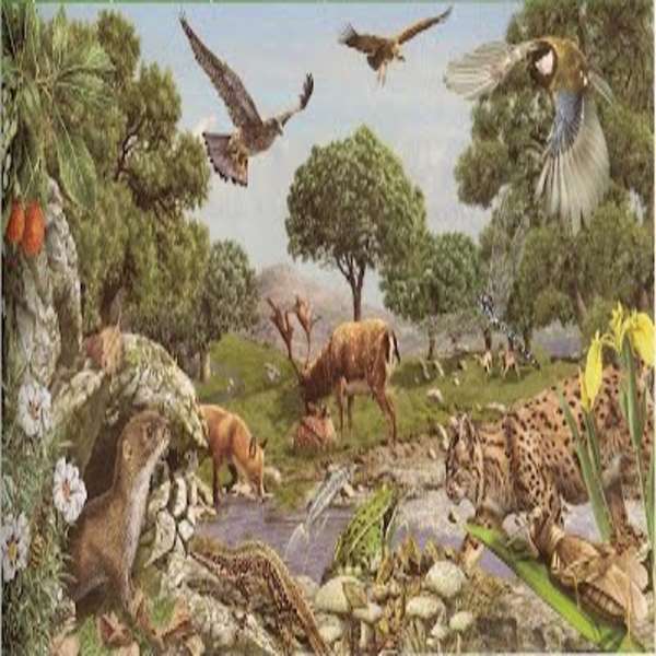 Ecosystems jigsaw puzzle online