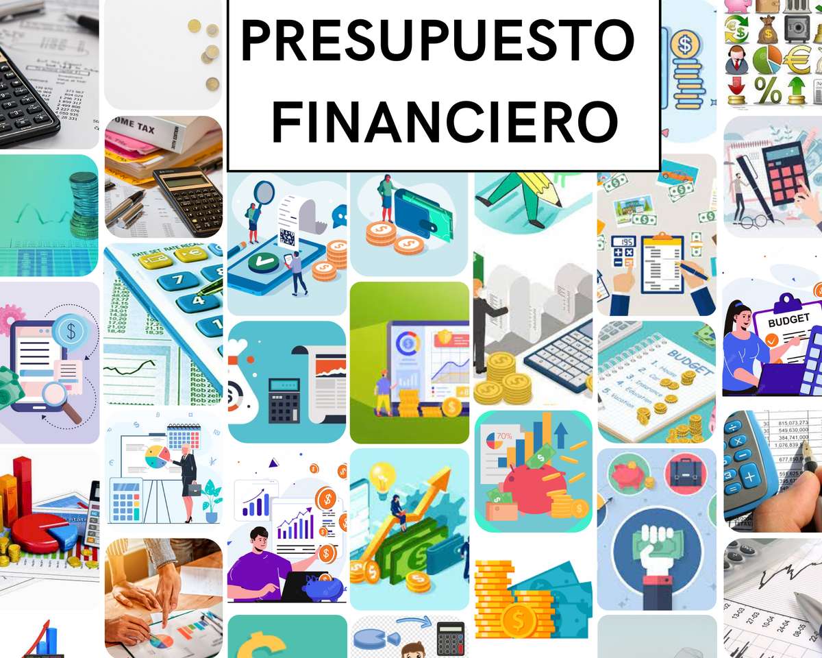 BUGET FINANCIAR puzzle online