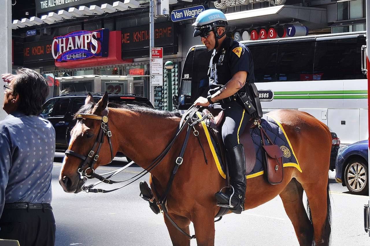 Ein Polizist auf einem Pferd Online-Puzzle