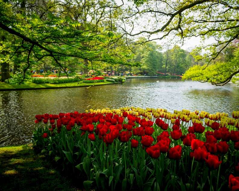 Canteiros de tulipas no parque à beira do rio quebra-cabeças online