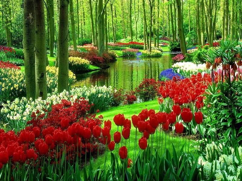 Jarní květiny v krásném zeleném parku skládačky online