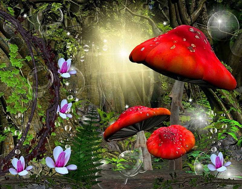Een betoverd bos met prachtige paddenstoelen erin legpuzzel online