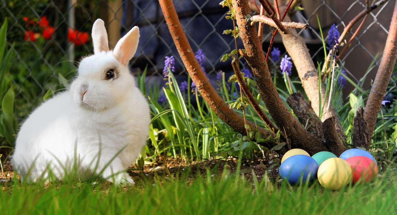 Conejo blanco, huevos de pascua. rompecabezas en línea