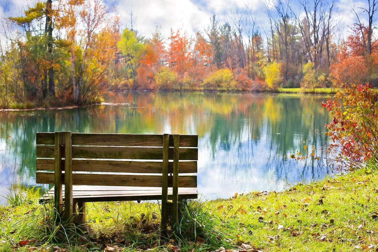 A bench by the pond online puzzle