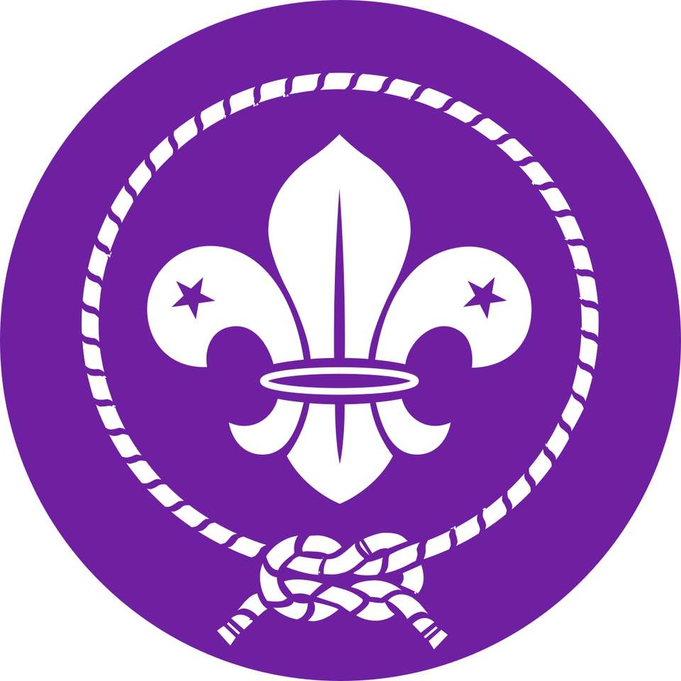 Logo dello scoutismo mondiale puzzle online