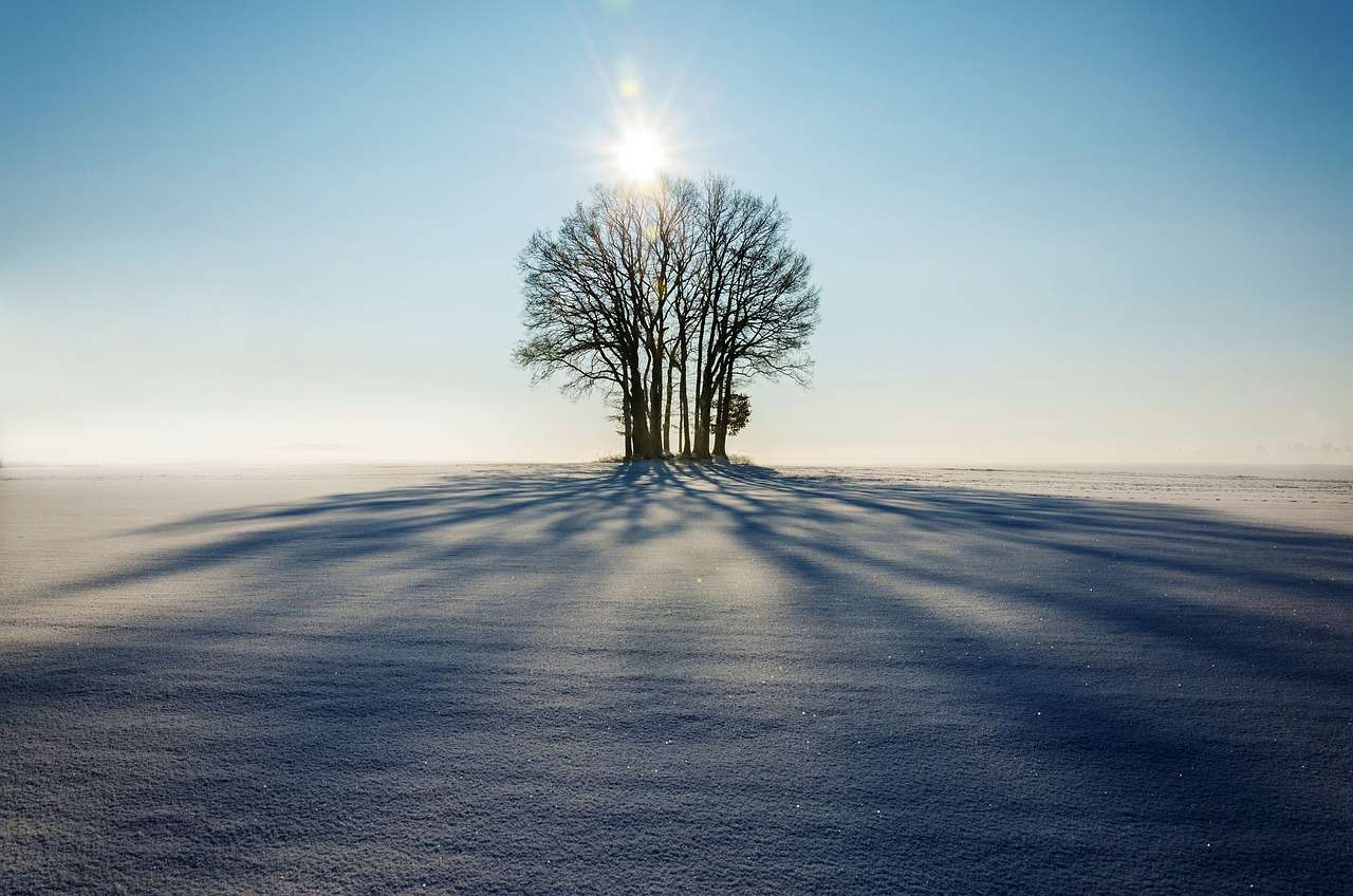 Zăpada Lumina soarelui puzzle online